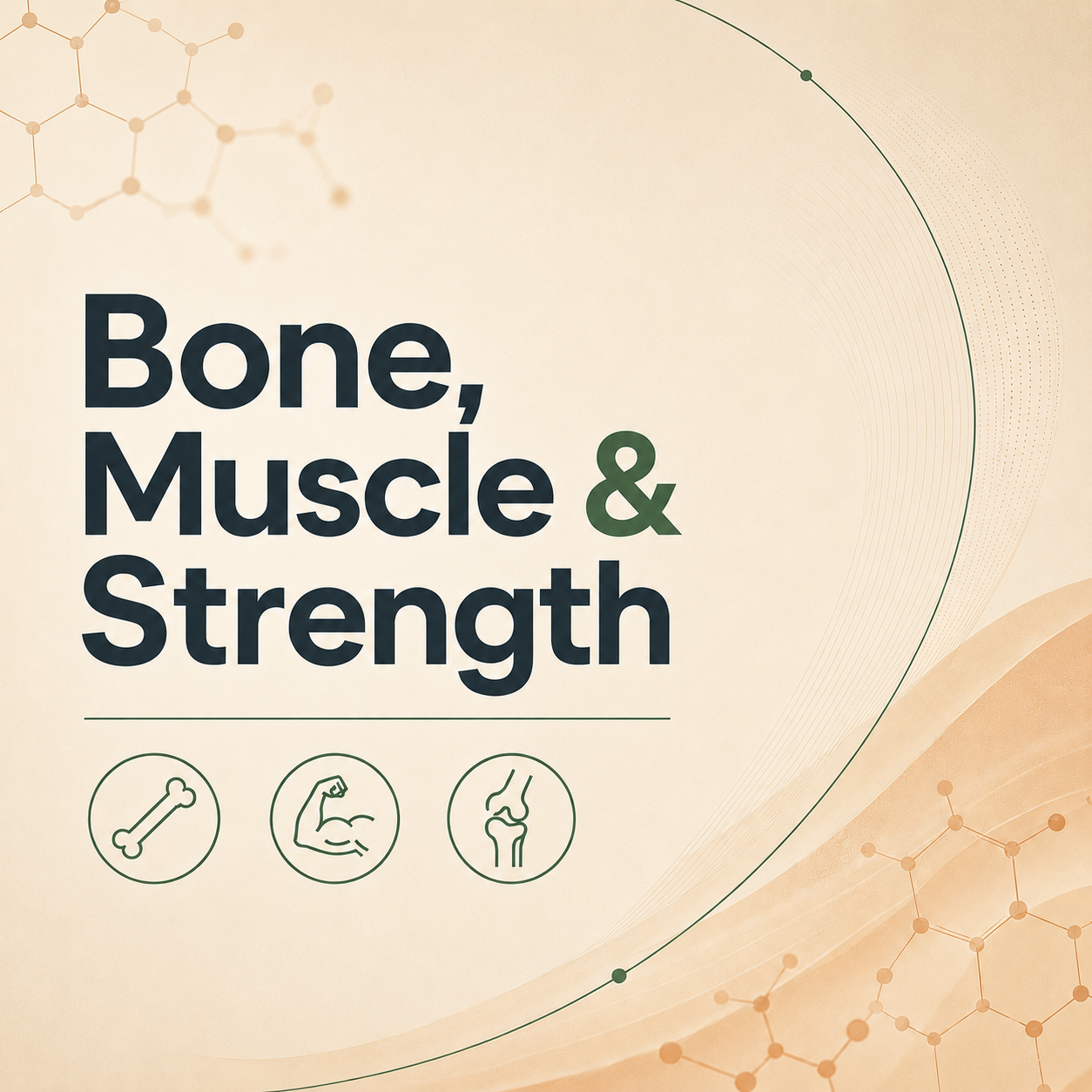 Bone, Muscle & Strength