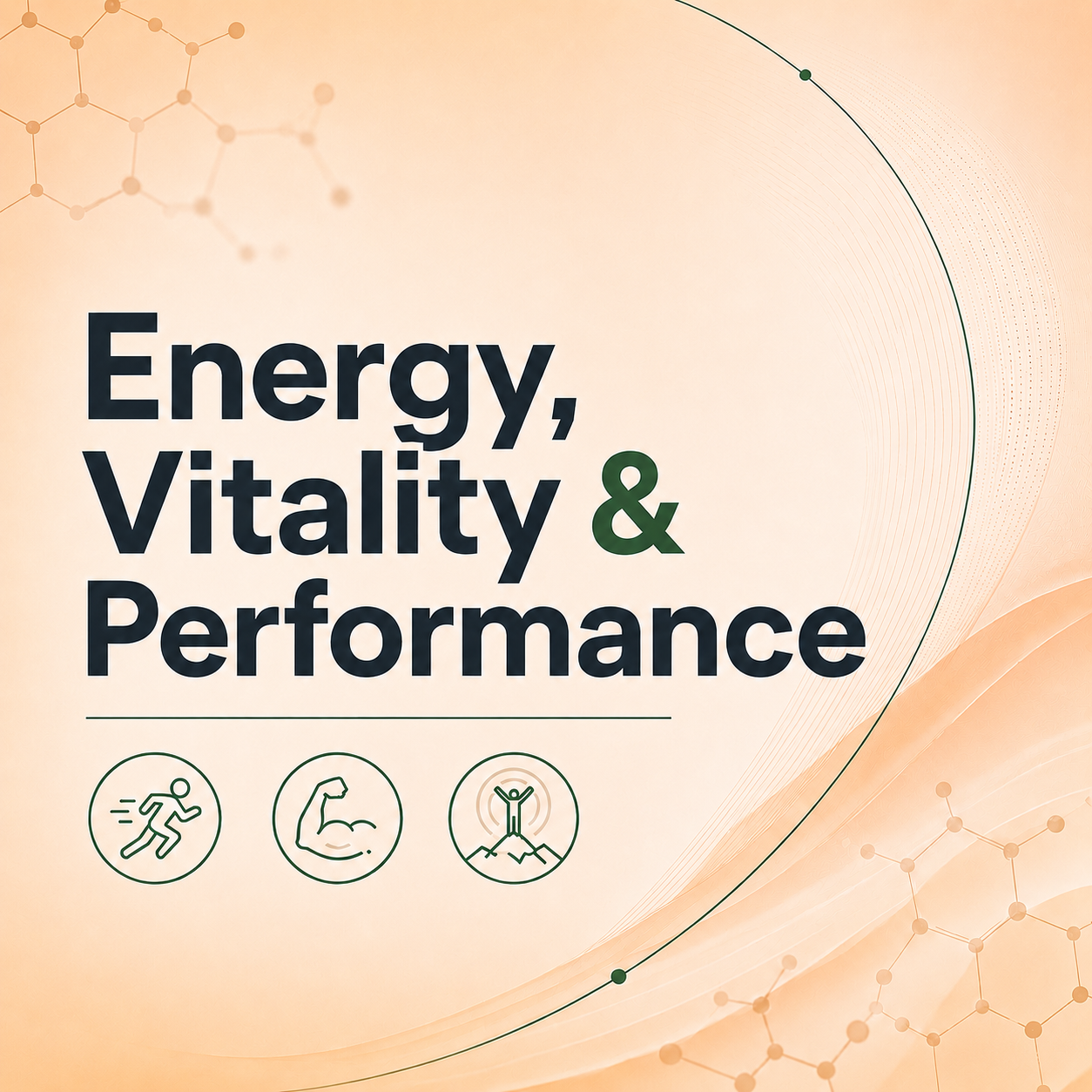 Energy, Vitality & Performance