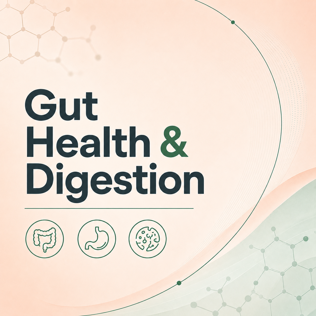 Gut Health & Digestion