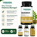 Vitalmins Moringa Leaf Extract 500MG