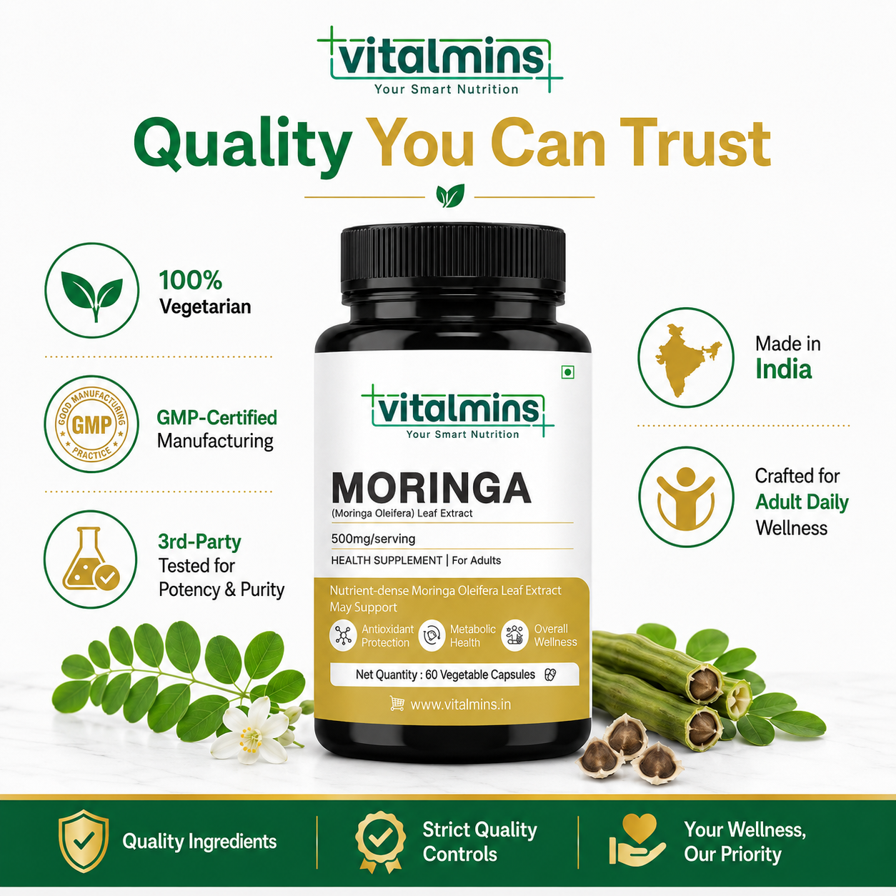 Vitalmins Moringa Leaf Extract 500MG