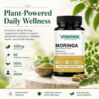 Vitalmins Moringa Leaf Extract 500MG